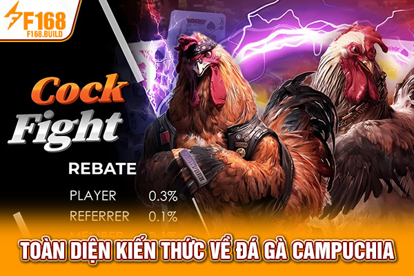 Toàn diện kiến thức về đá gà Campuchia Toàn diện kiến thức về đá gà Campuchia