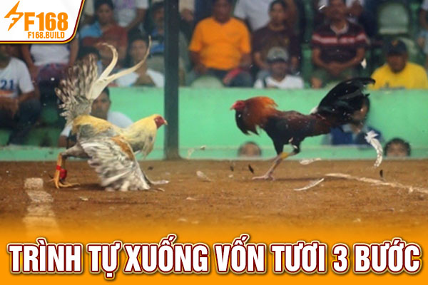 Trình tự xuống vốn tươi 3 bước Trình tự xuống vốn tươi 3 bước